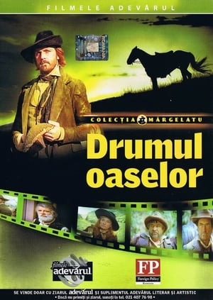 Drumul oaselor poszter