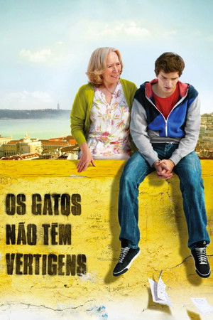 Os Gatos Não Têm Vertigens poszter