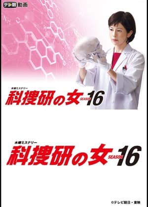 科捜研の女