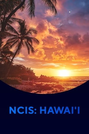 NCIS: Hawaii poszter