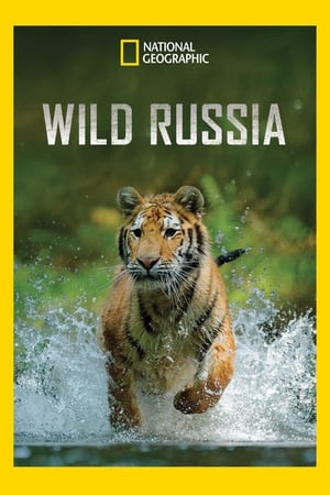 Wildes Russland poszter