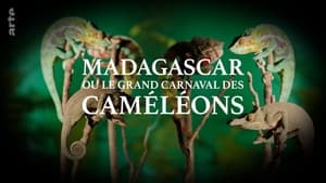 Madagascar or the Great Carnival of the Cameleons háttérkép