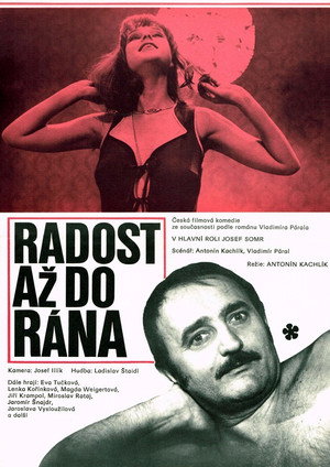 Radost až do rána poszter