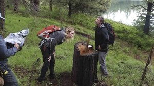 A Jeti expedíció 1. évad Ep.5 5. epizód