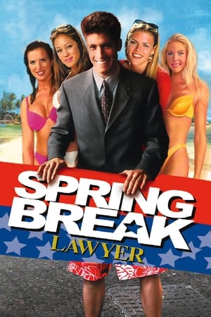 Spring Break Lawyer