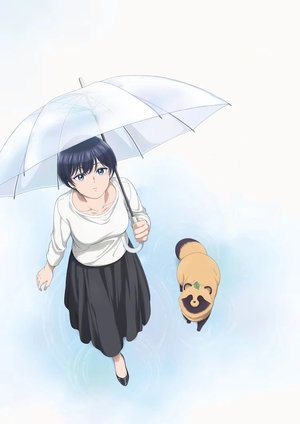 雨と君と poszter