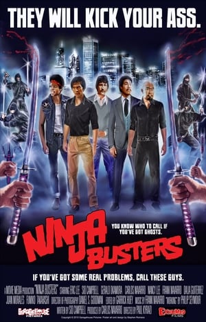 Ninja Busters poszter