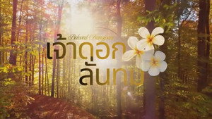 เจ้าดอกลั่นทม kép