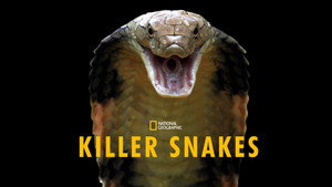 Killer Snakes háttérkép