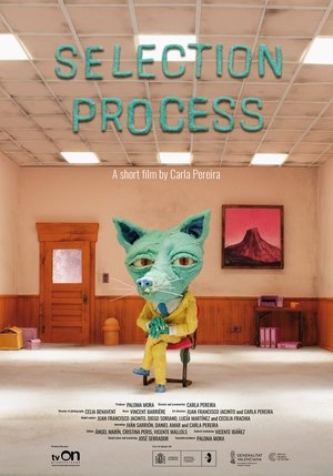 Proceso de selección poszter