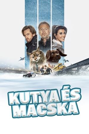 Kutya és macska