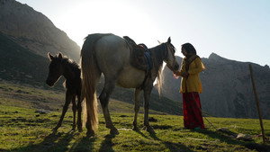 The Dream of a Horse háttérkép