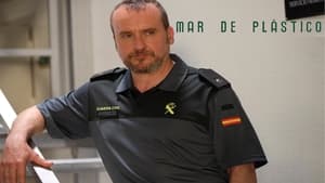 Mar de plástico kép