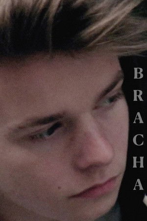Brácha poszter