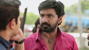 சின்னதம்பி Season 1 Ep.55 55. epizód