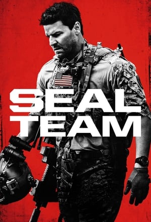 SEAL Team poszter