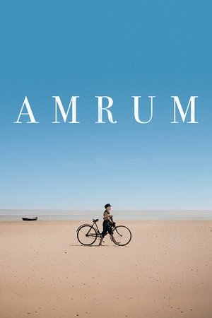 Amrum poszter