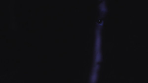 Témele a la Oscuridad: Luz háttérkép