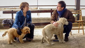 Puppy Love Season 1 Ep.1 1. epizód