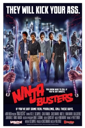 Ninja Busters poszter