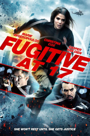 Fugitive at 17 poszter