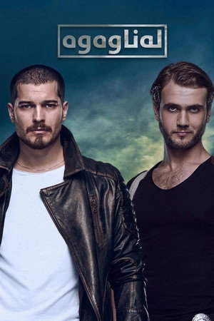 İçerde poszter