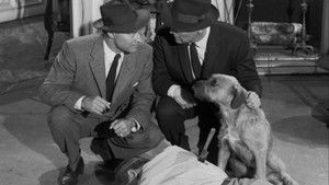 Perry Mason 1. évad Ep.17 17. epizód
