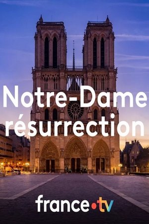 Notre-Dame Résurrection poszter
