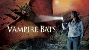 Vampire Bats háttérkép