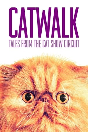 Catwalk: Tales from the Catshow Circuit poszter