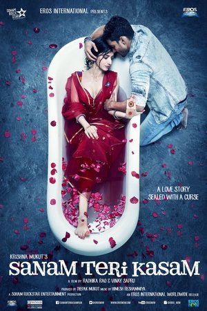 Sanam Teri Kasam poszter