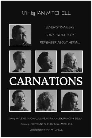 Carnations poszter