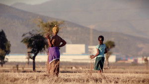 Made in Ethiopia háttérkép