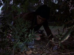 Quincy, M.E. Season 7 Ep.10 10. epizód