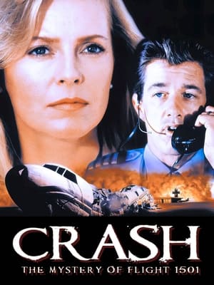 Crash: The Mystery of Flight 1501 poszter