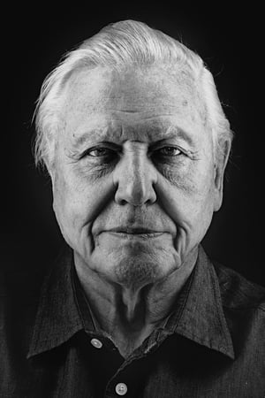 David Attenborough profil kép