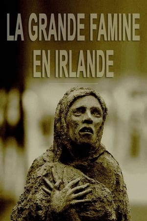 The Hunger: The Story of the Irish Famine poszter