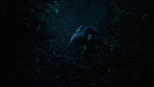 Pulau Hantu háttérkép