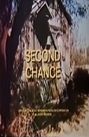 Second Chance poszter