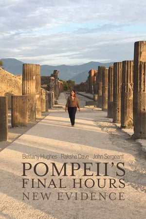 Pompeii's Final Hours: New Evidence