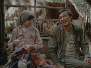 M*A*S*H 4. évad Ep.18 18. epizód