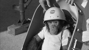 One Small Step: The Story of the Space Chimps háttérkép