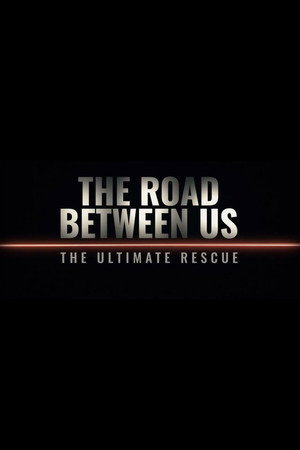 The Road Between Us: The Ultimate Rescue poszter