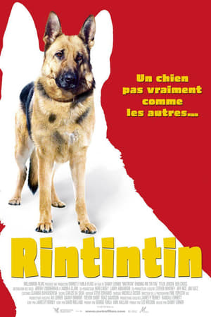 Rin Tin Tin poszter