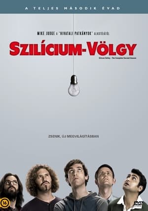 Szilícium-völgy