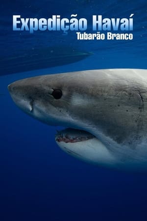 World's Biggest Great White? poszter