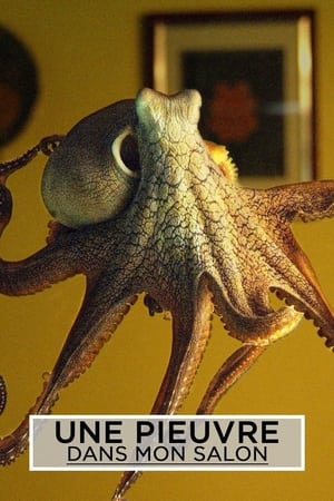 The Octopus in My House poszter