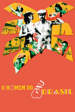 O Homem do Pau-Brasil poszter