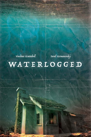 Waterlogged poszter