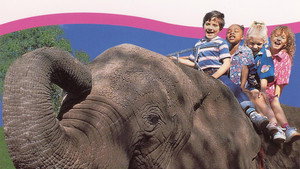Kidsongs: A Day with the Animals háttérkép